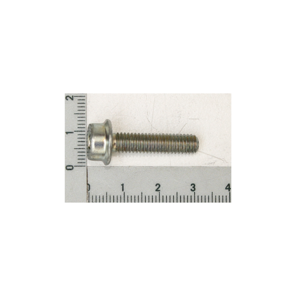 Scheppach cylinder head screw M6x25 W251 Article No. 05007476